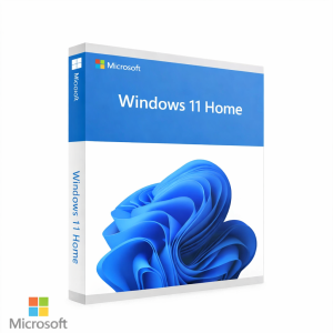 Windows 11 professional license key
